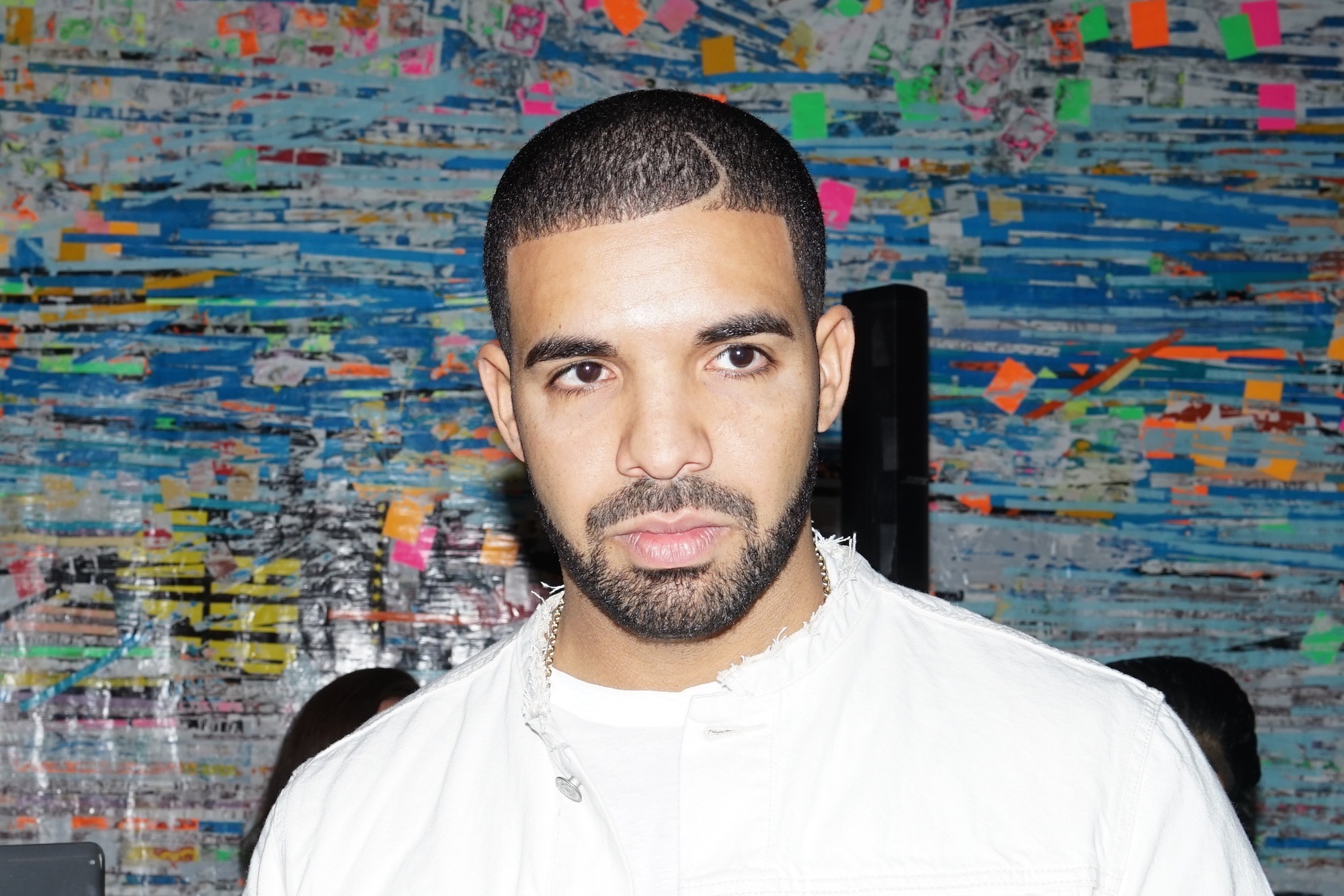 Drake s An Art Curator Now