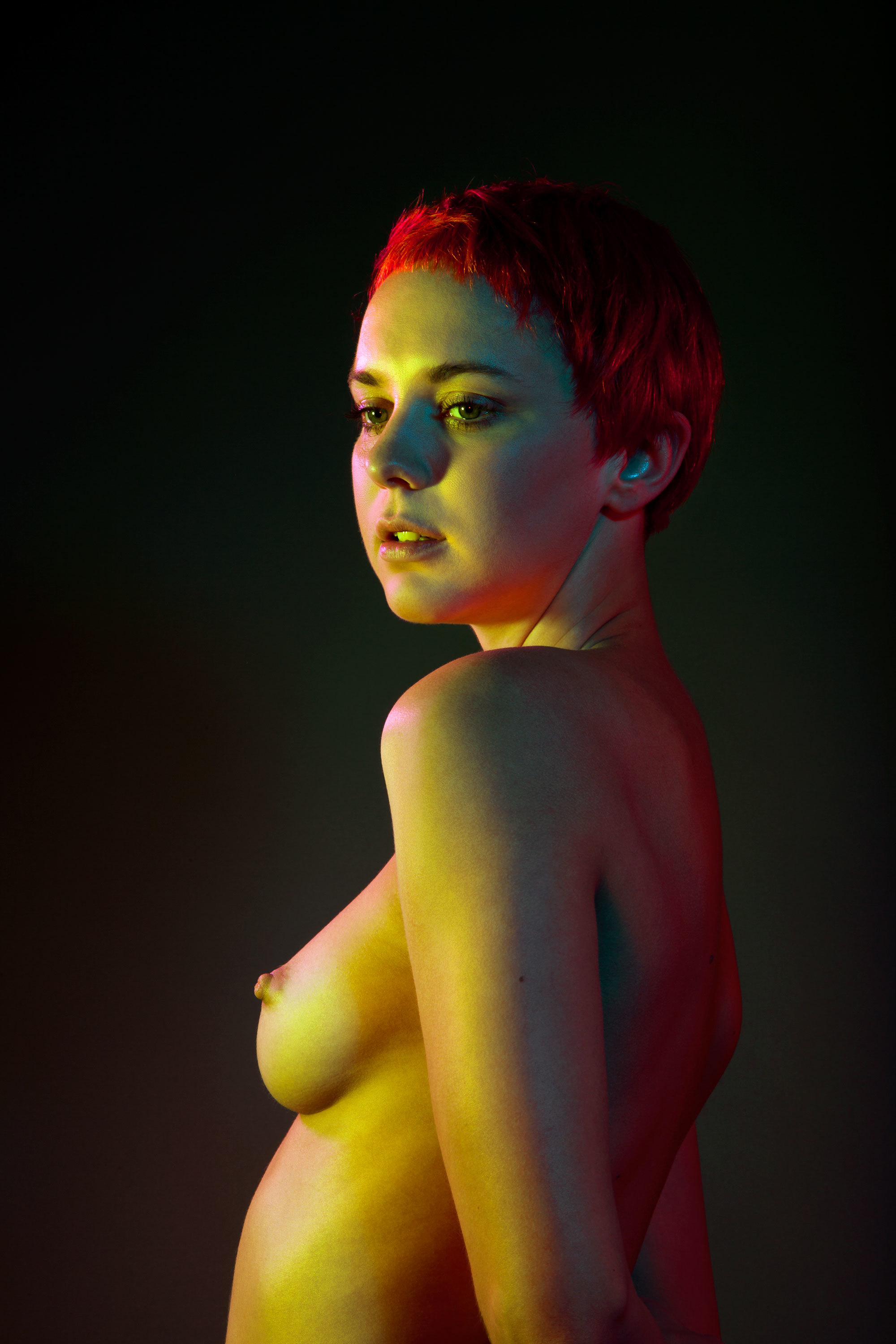 Nicole Sullivan Nude Pictures. 