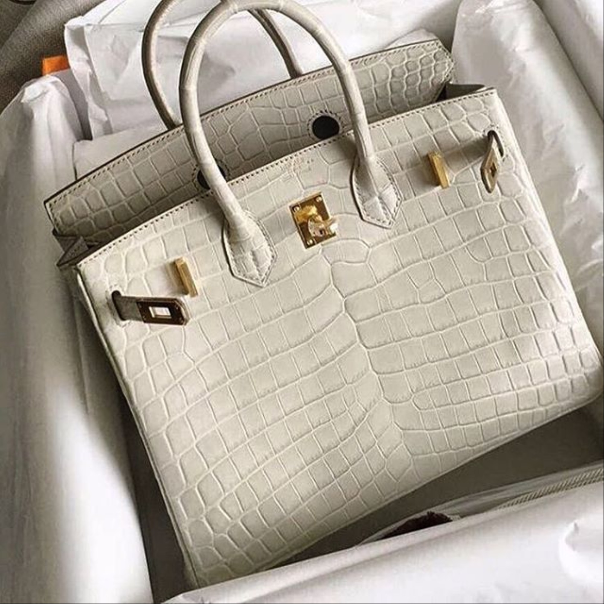 Сумка Hermes Birkin 25